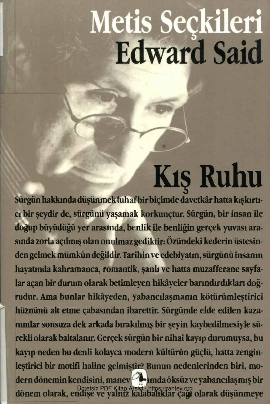 Kış Ruhu kapak görseli