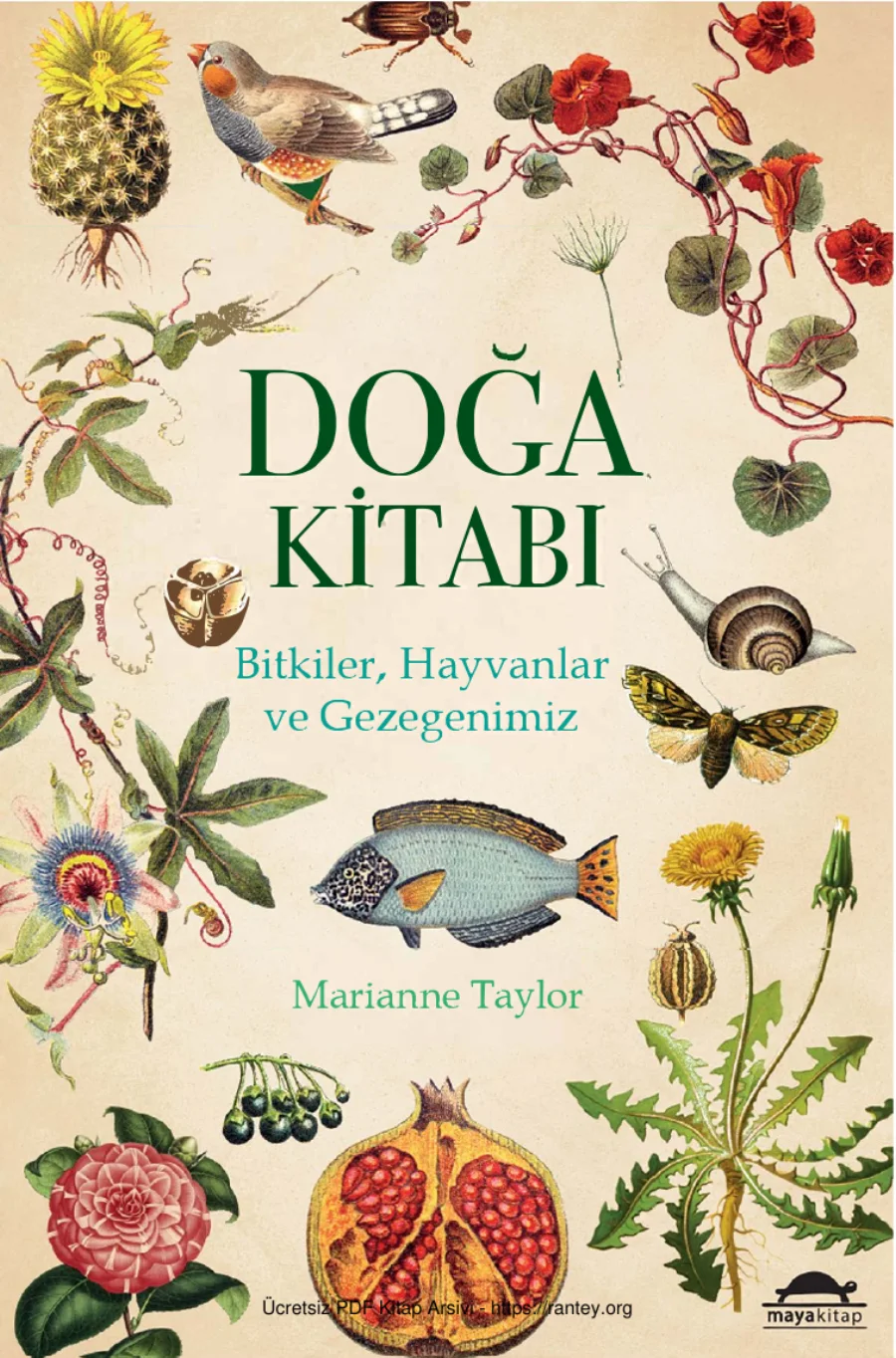 Kitabı kapak görseli