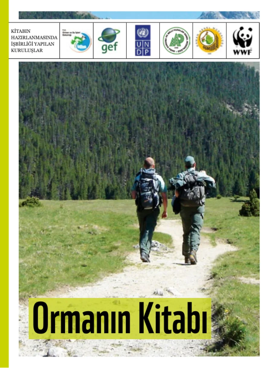 Kitabı kapak görseli