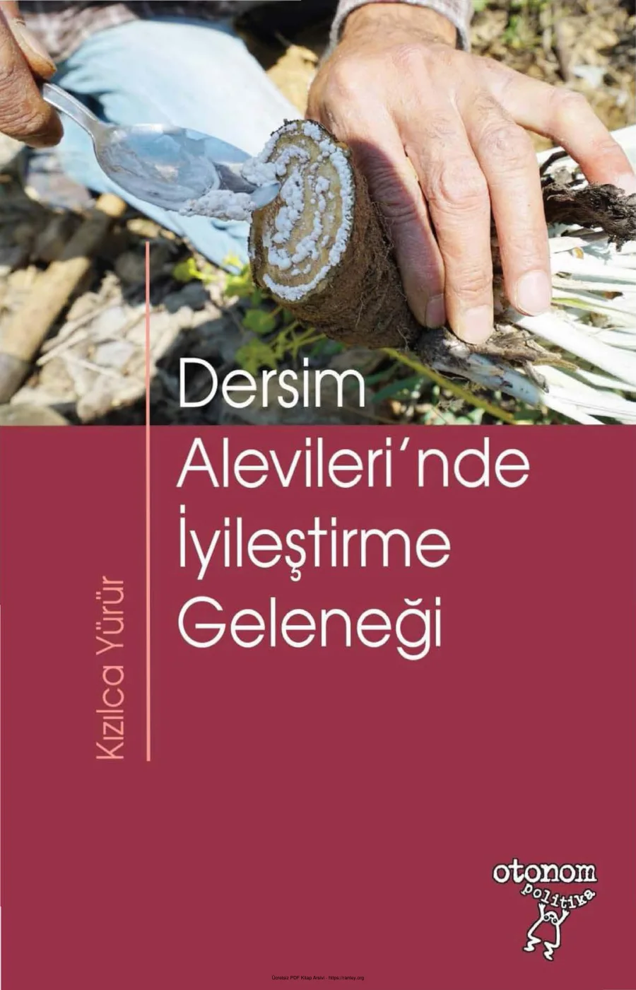 Kızılca Yürür Dersim Alevilerinde İyileştirme Geleneği kapak görseli