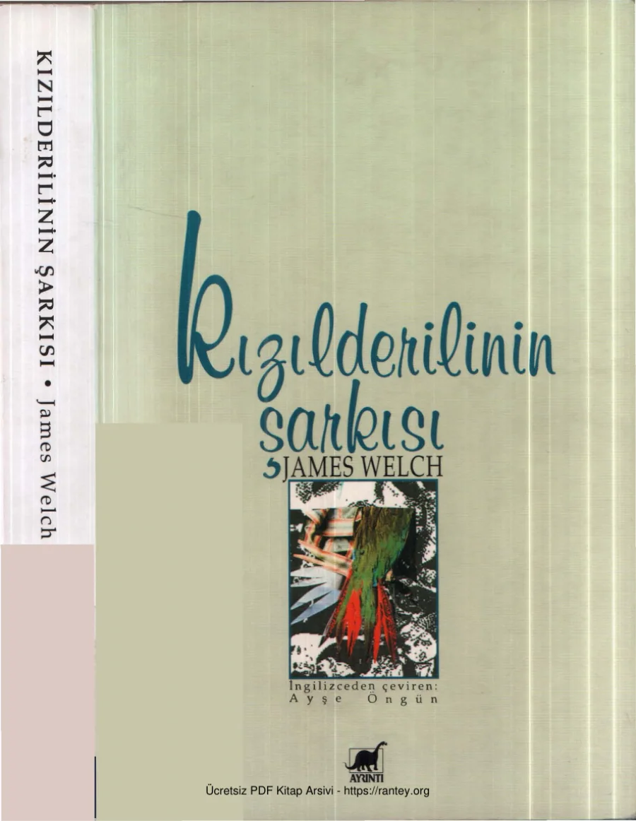 Kızılderilinin Şarkısı kapak görseli