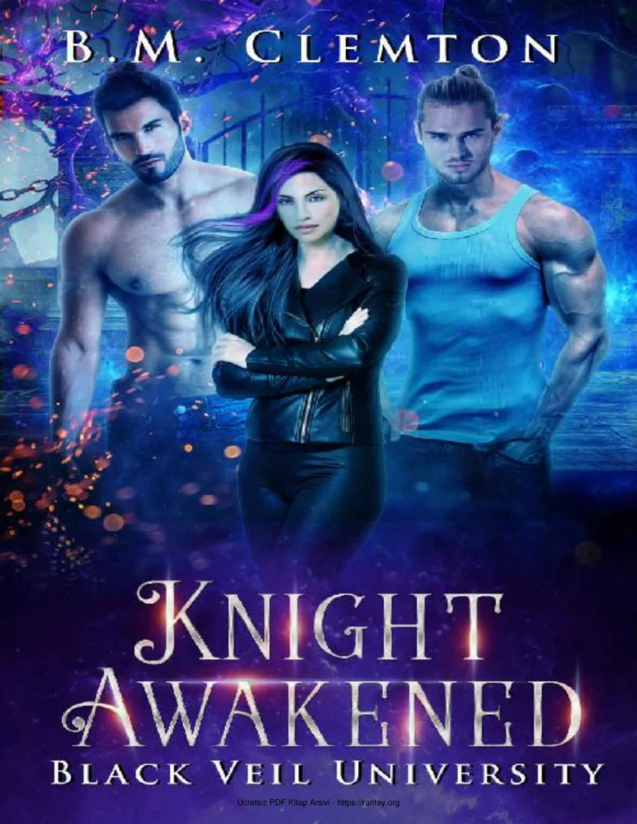 Knight Awakened kapak görseli