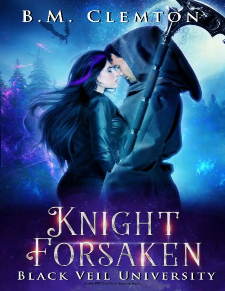 Knight Forsaken kapak görseli