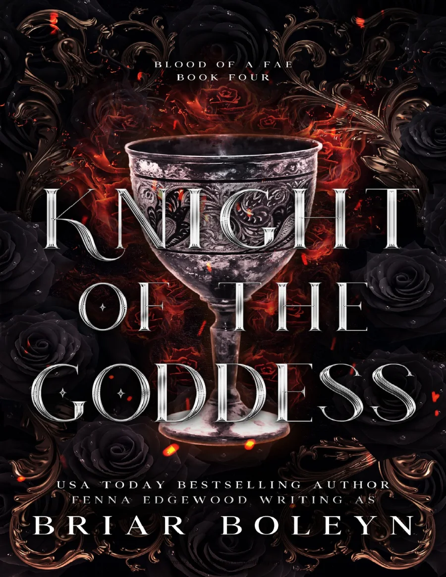 Knight of the Goddess kapak görseli