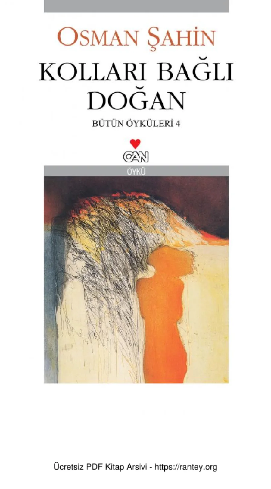 Kolları Bağlı Doğan kapak görseli