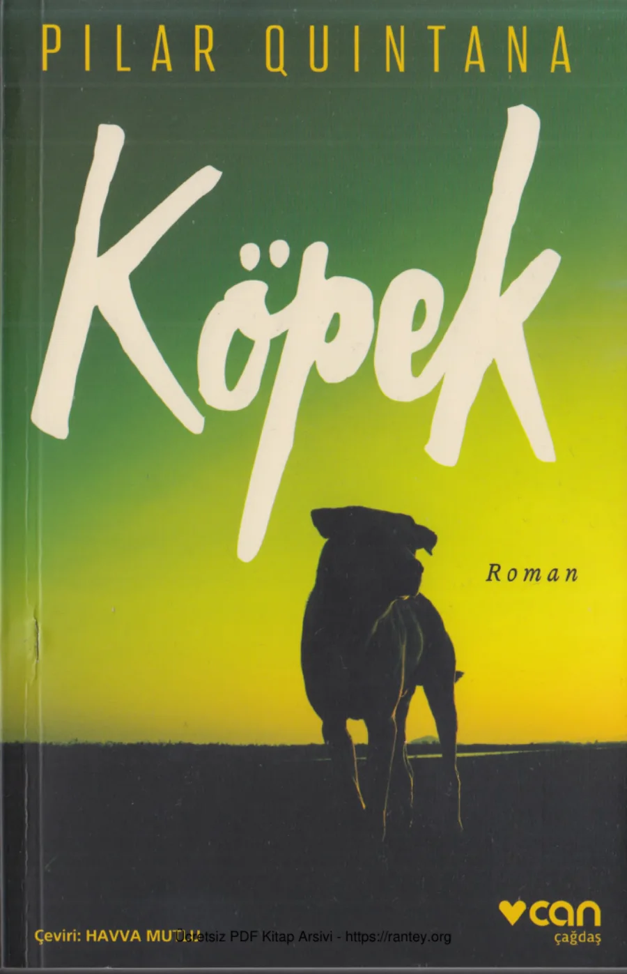 Köpek kapak görseli