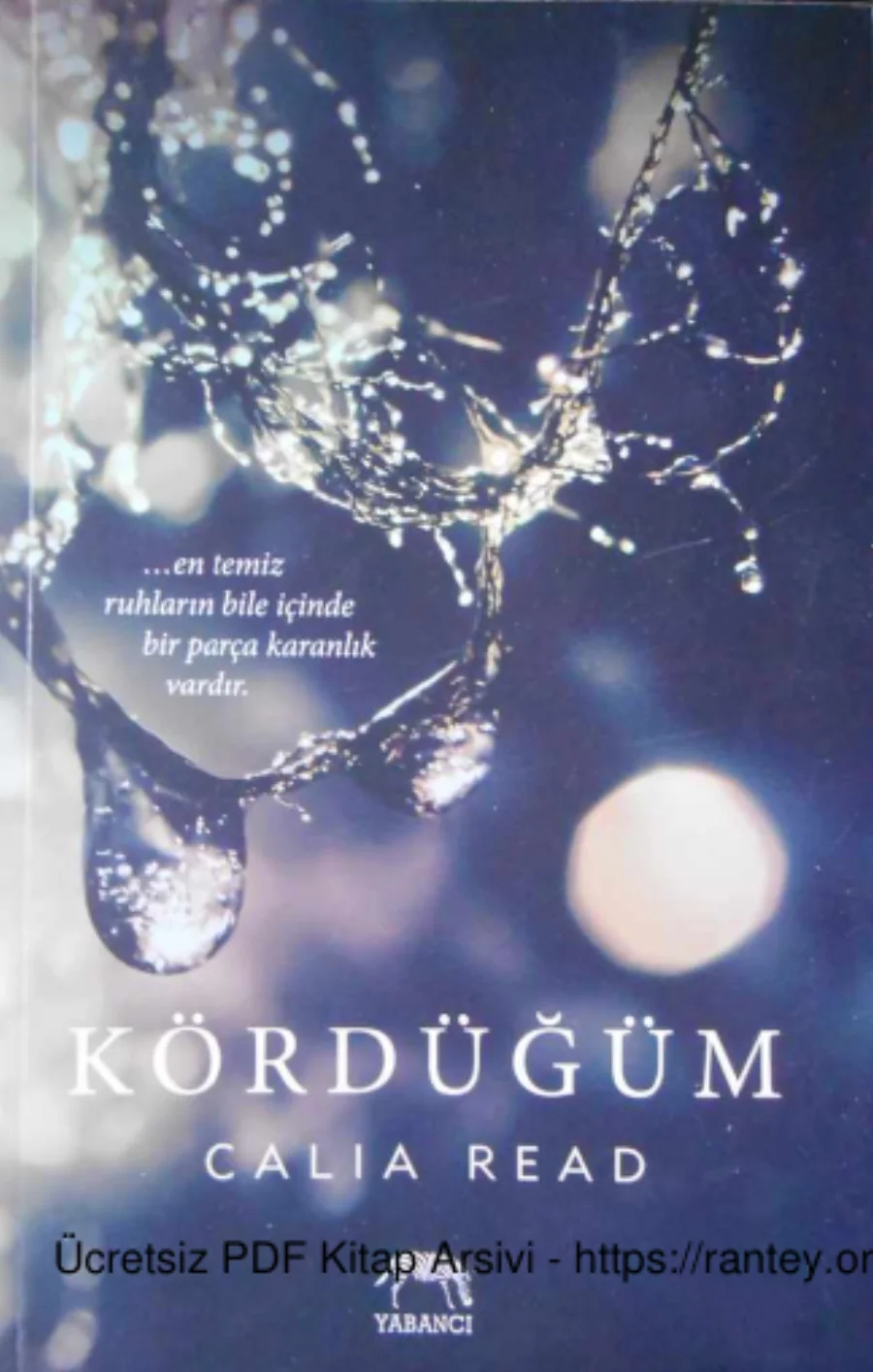 Kördüğüm kapak görseli