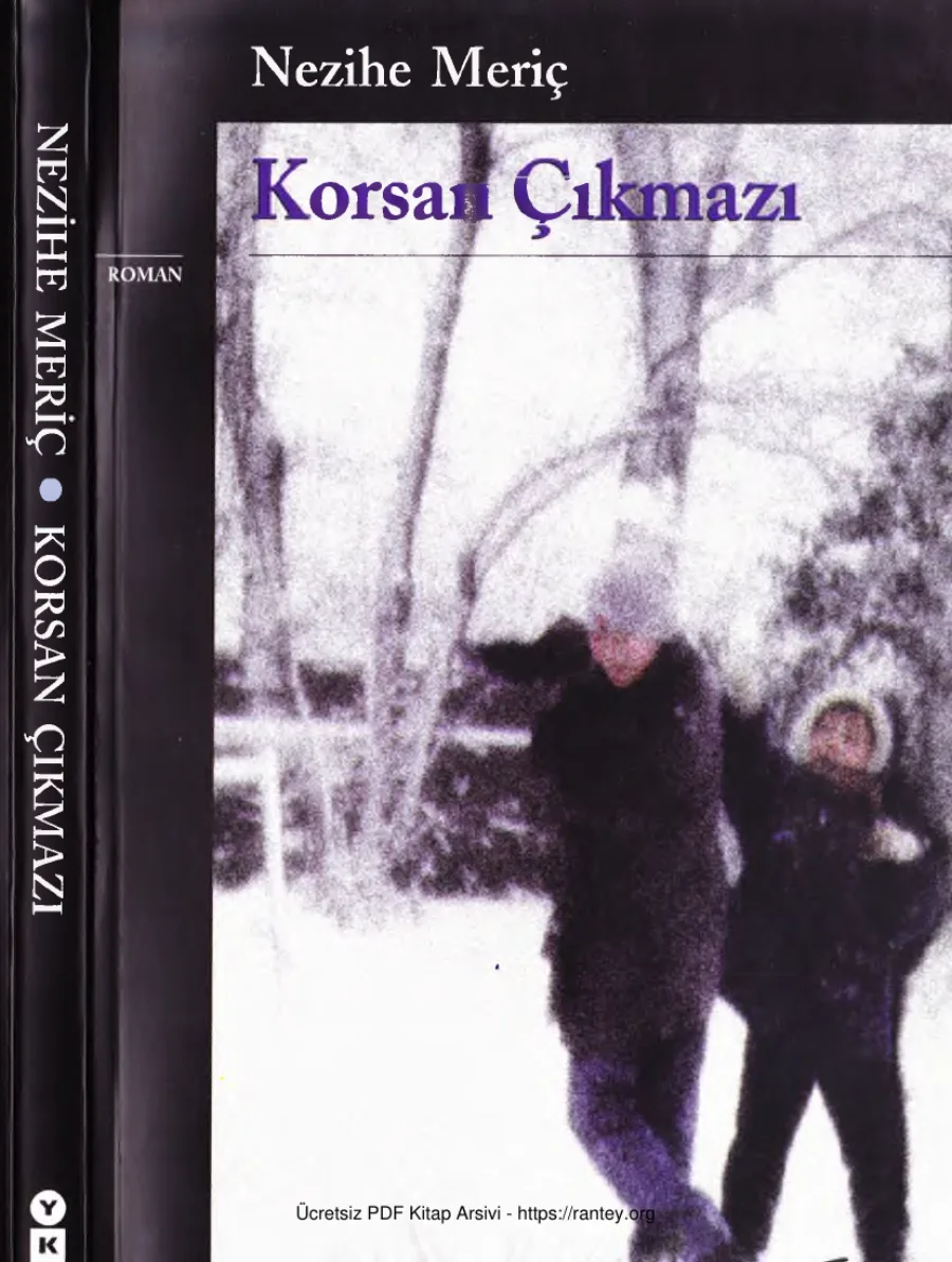 Korsan Çıkmazı kapak görseli