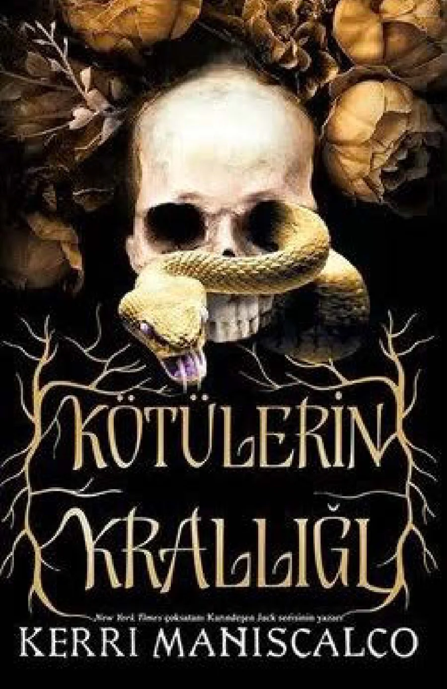 Kötülerin Krallığı kapak görseli