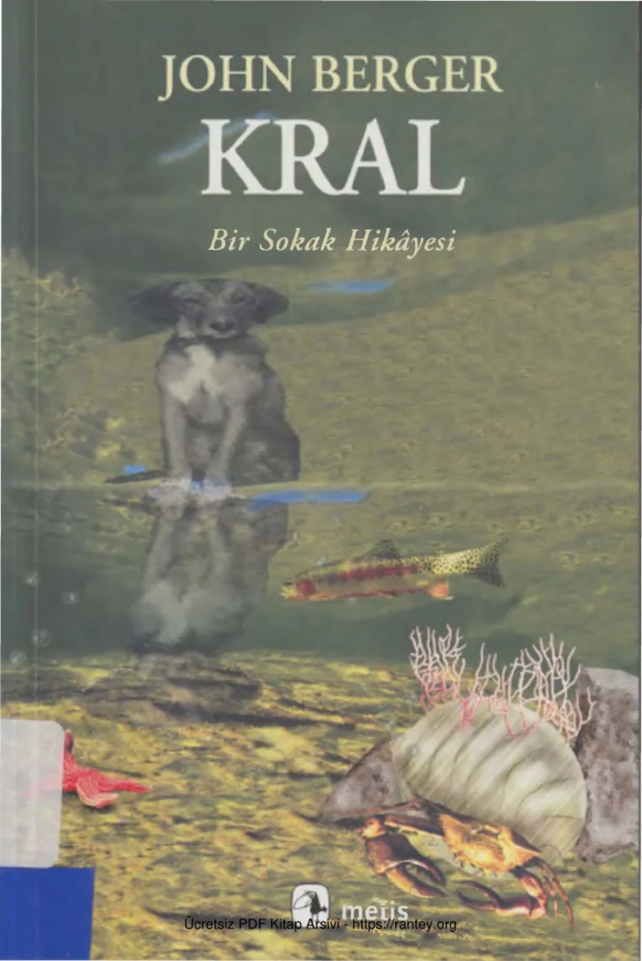 Kral kapak görseli