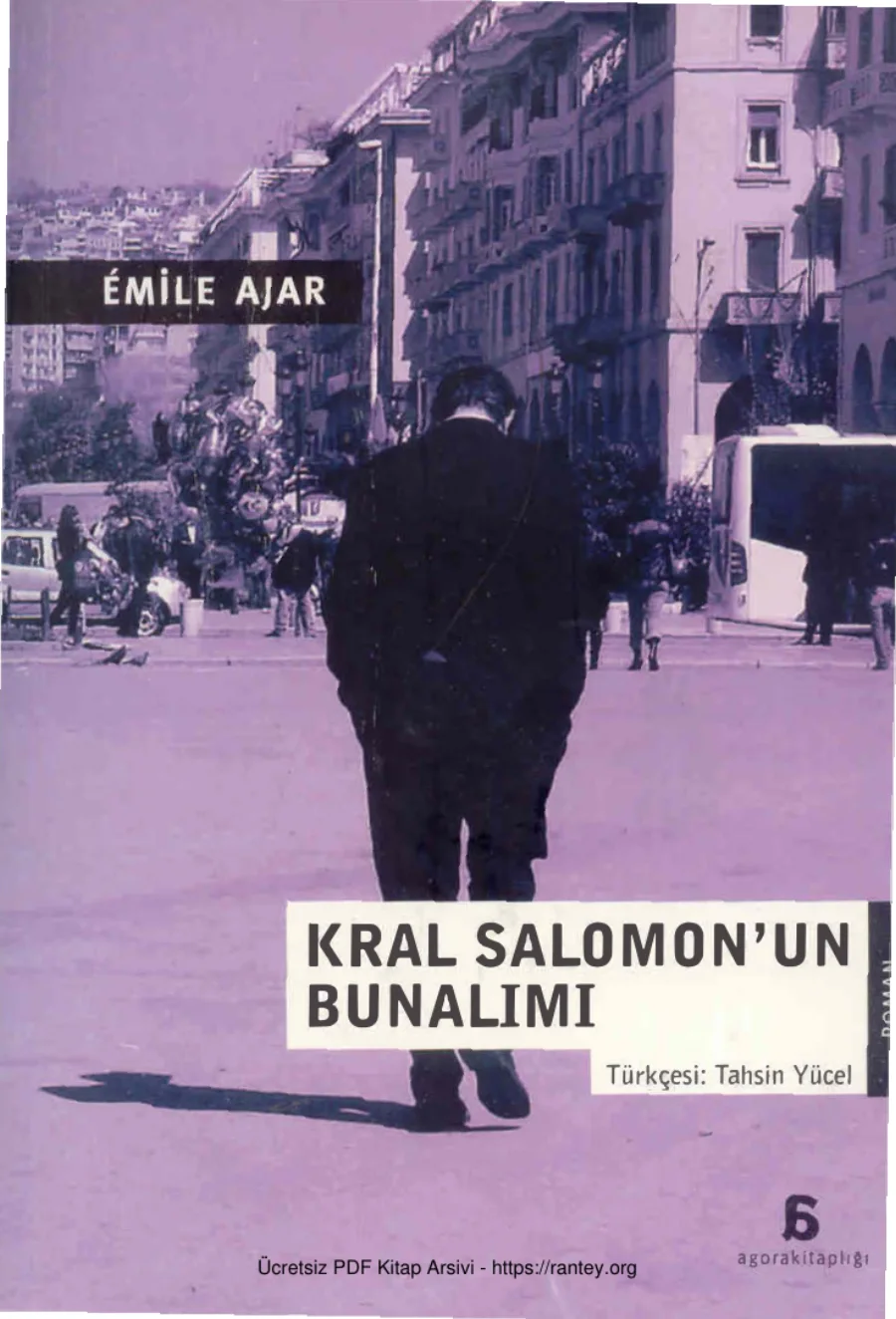 Kral Solomon'un Bunalımı kapak görseli
