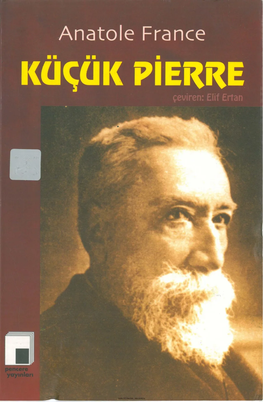 Küçük Pierre Pencere Yayınları kapak görseli