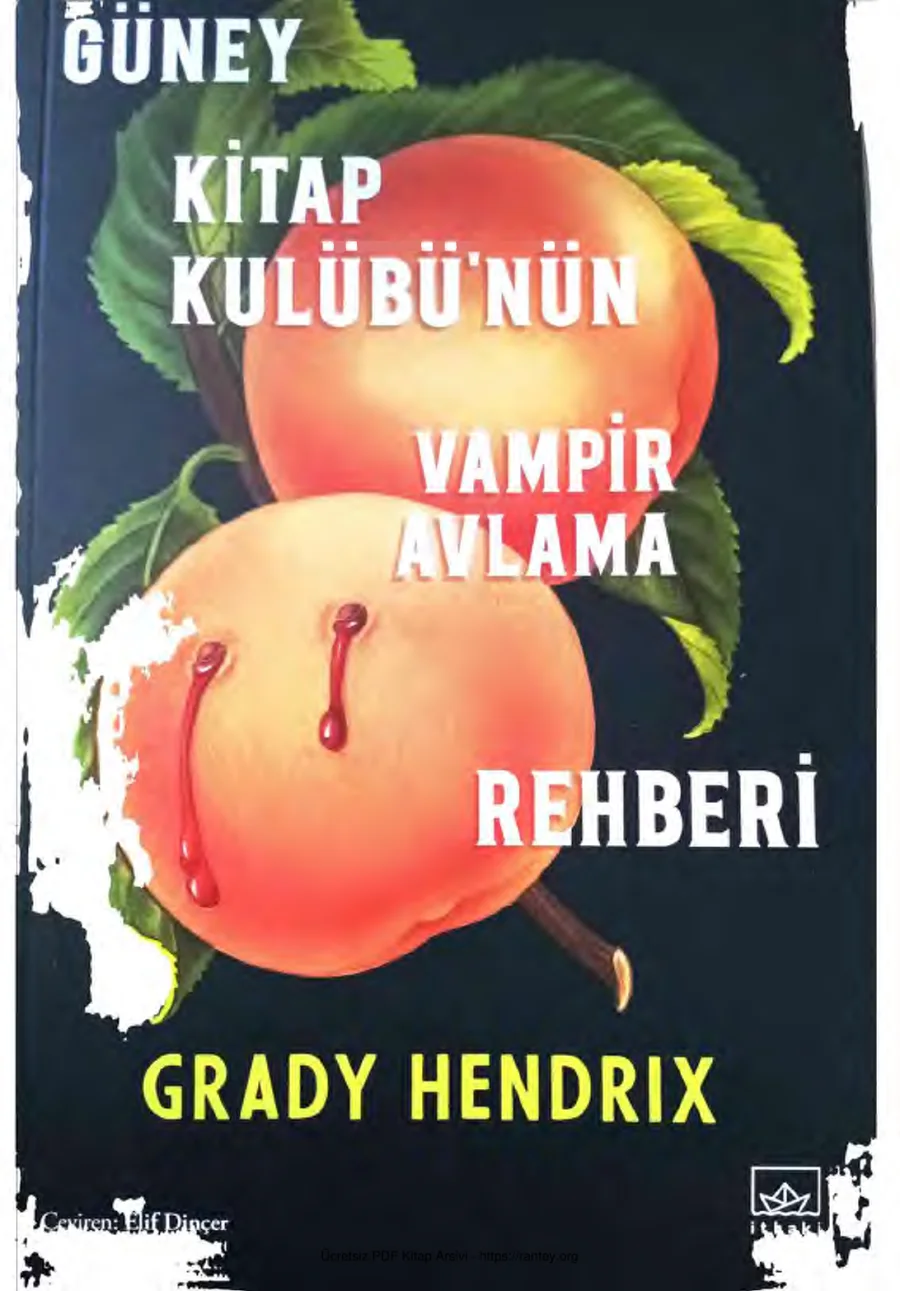 kulübünün vampir avlama rehberi Grady Hendrix zm kapak görseli