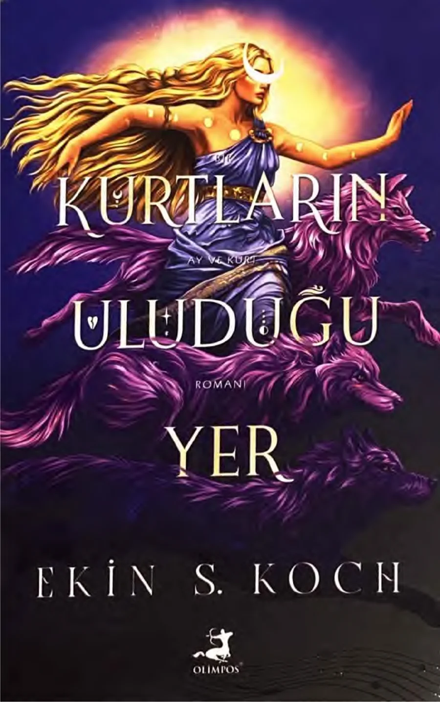 Kurtların Uluduğu Yer 1 kapak görseli