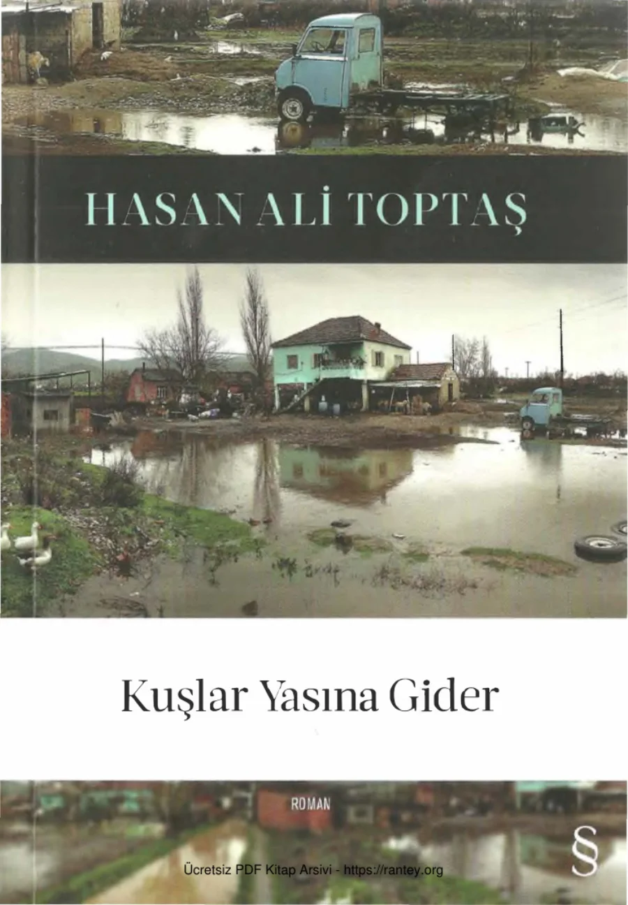 Kuşlar Yasına Gider kapak görseli