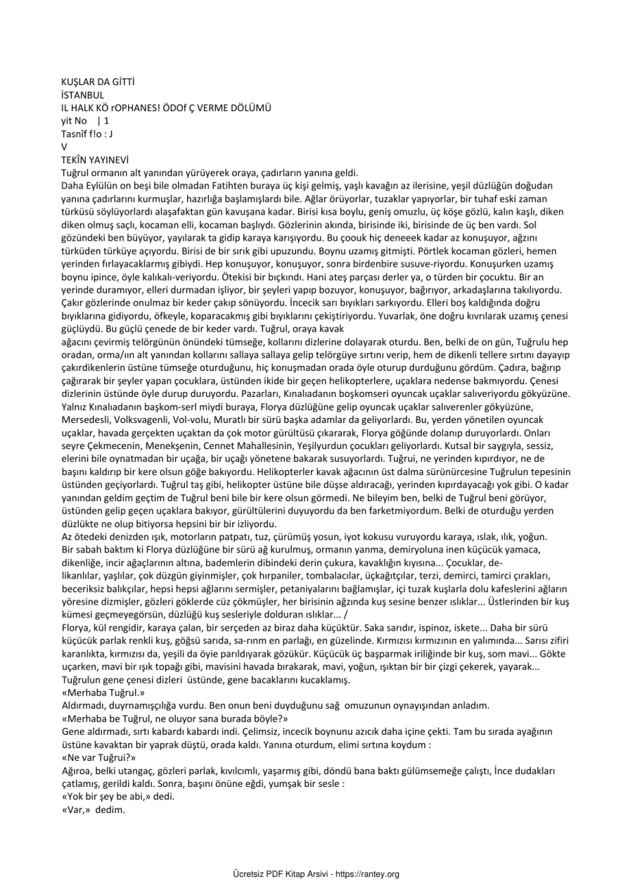 Kuşlarda Gitti kapak görseli