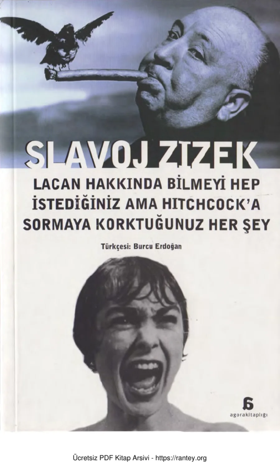 Lacan Hakkında Bilmeyi Hep İstediğiniz ama Hitchcocka Sormaya Korktuğunuz Her Şey kapak görseli