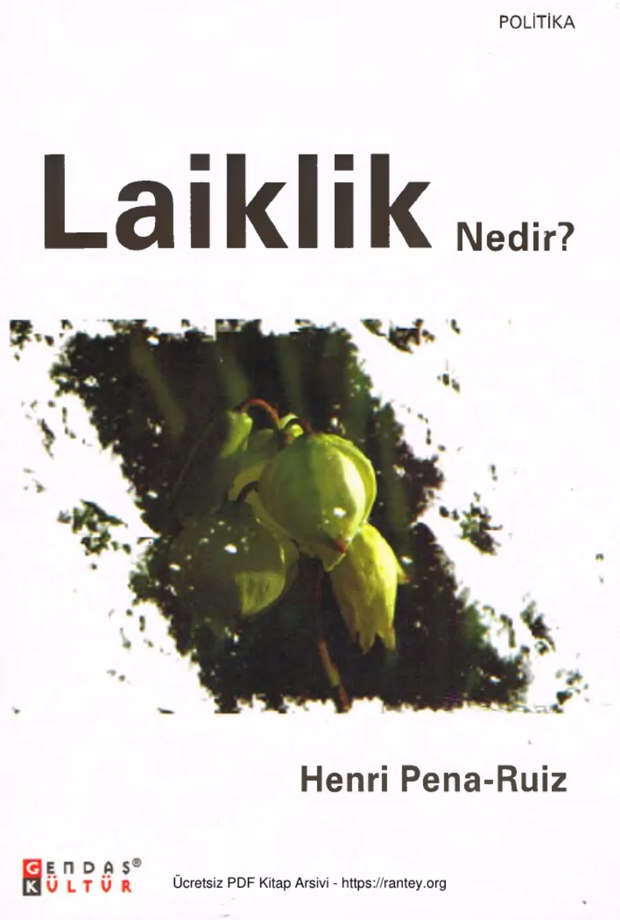 Laiklik Nedir? kapak görseli