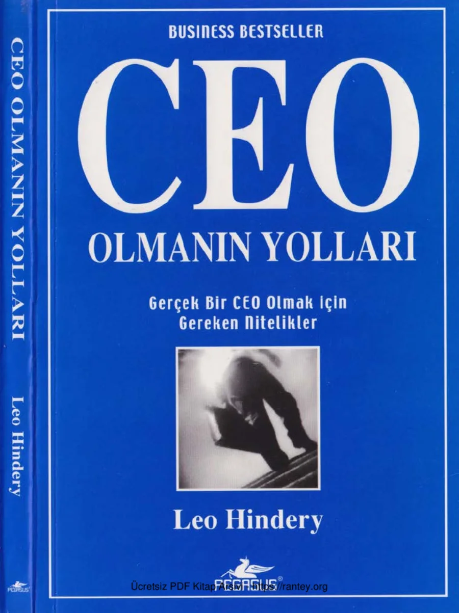 Leo Hindery CEO Olmanın Yolları kapak görseli
