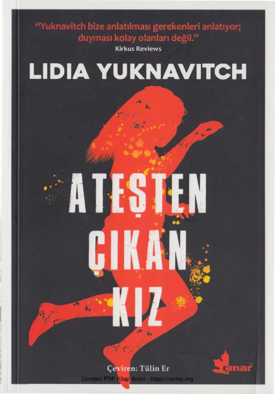 Lidia Yuknavitch Ateşten Çıkan Kız kapak görseli