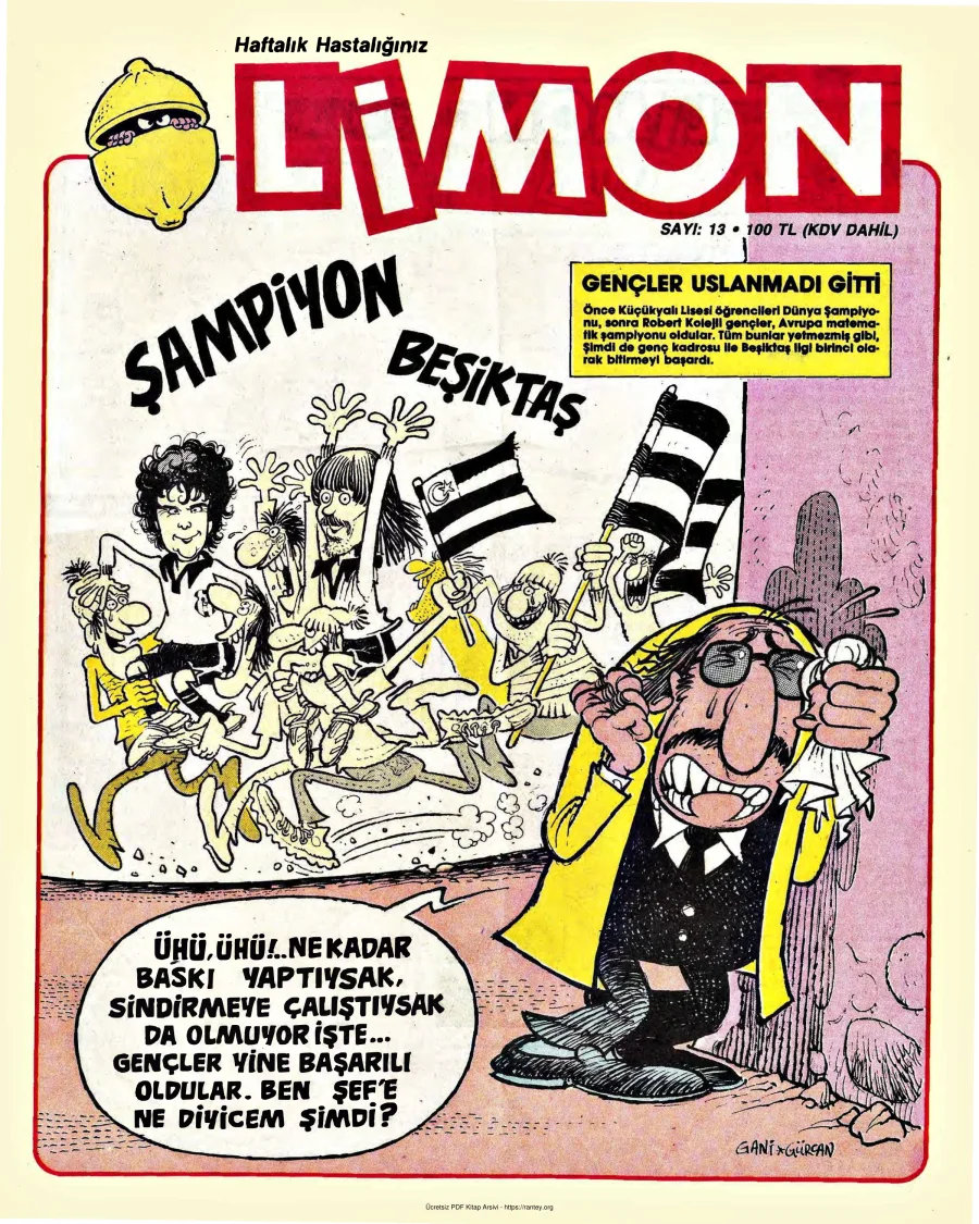 Limon 1986 Sayı 013 kapak görseli