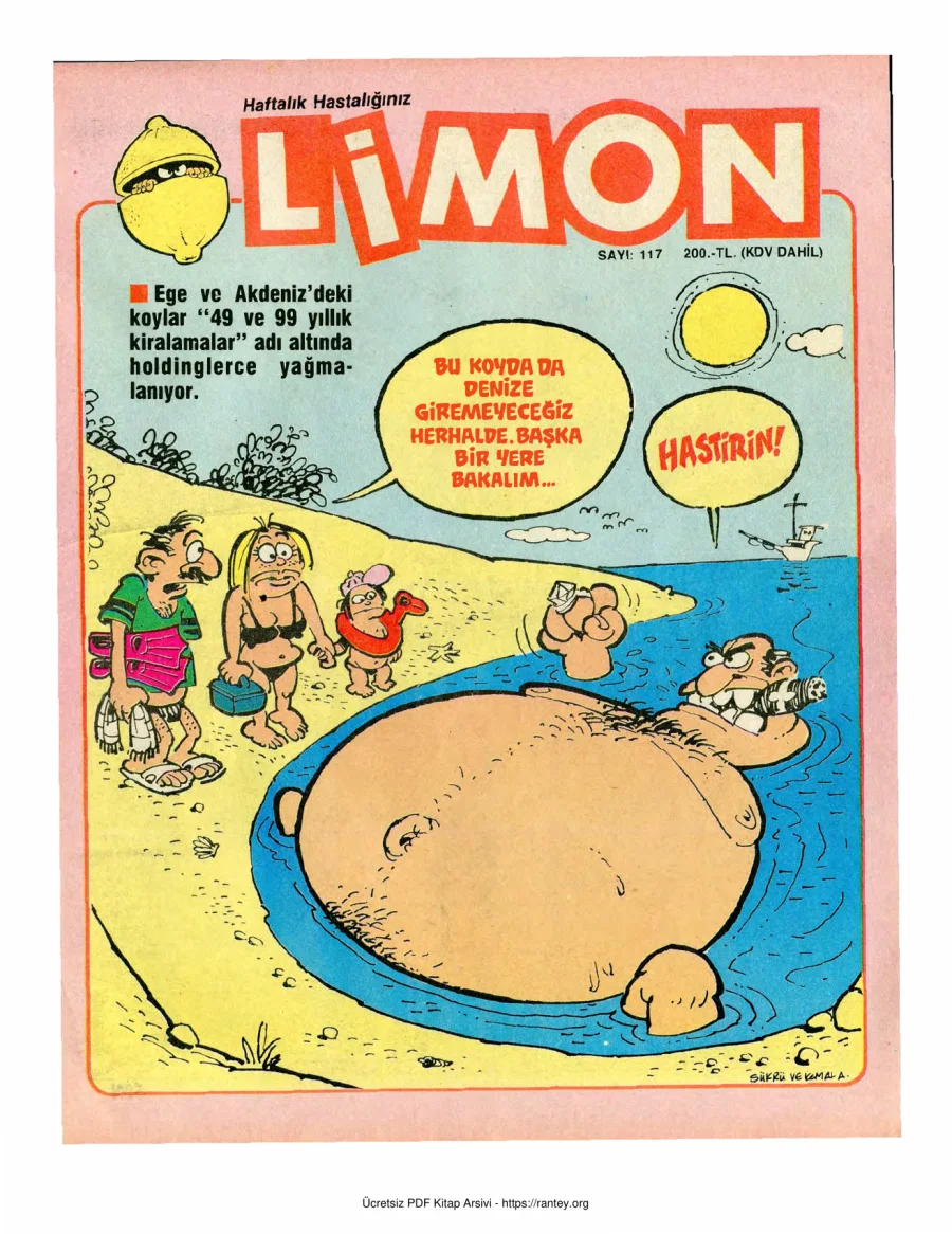 Limon 1988 Sayı 117 kapak görseli