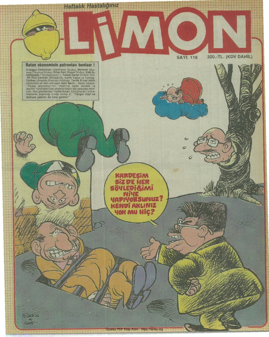Limon 1988 Sayı 119 kapak görseli