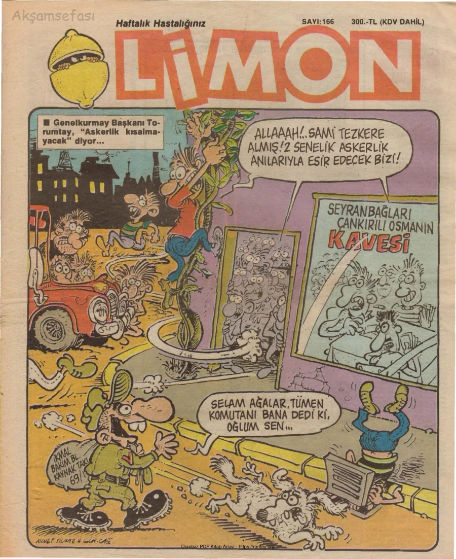 Limon 1989 Sayı 166 kapak görseli