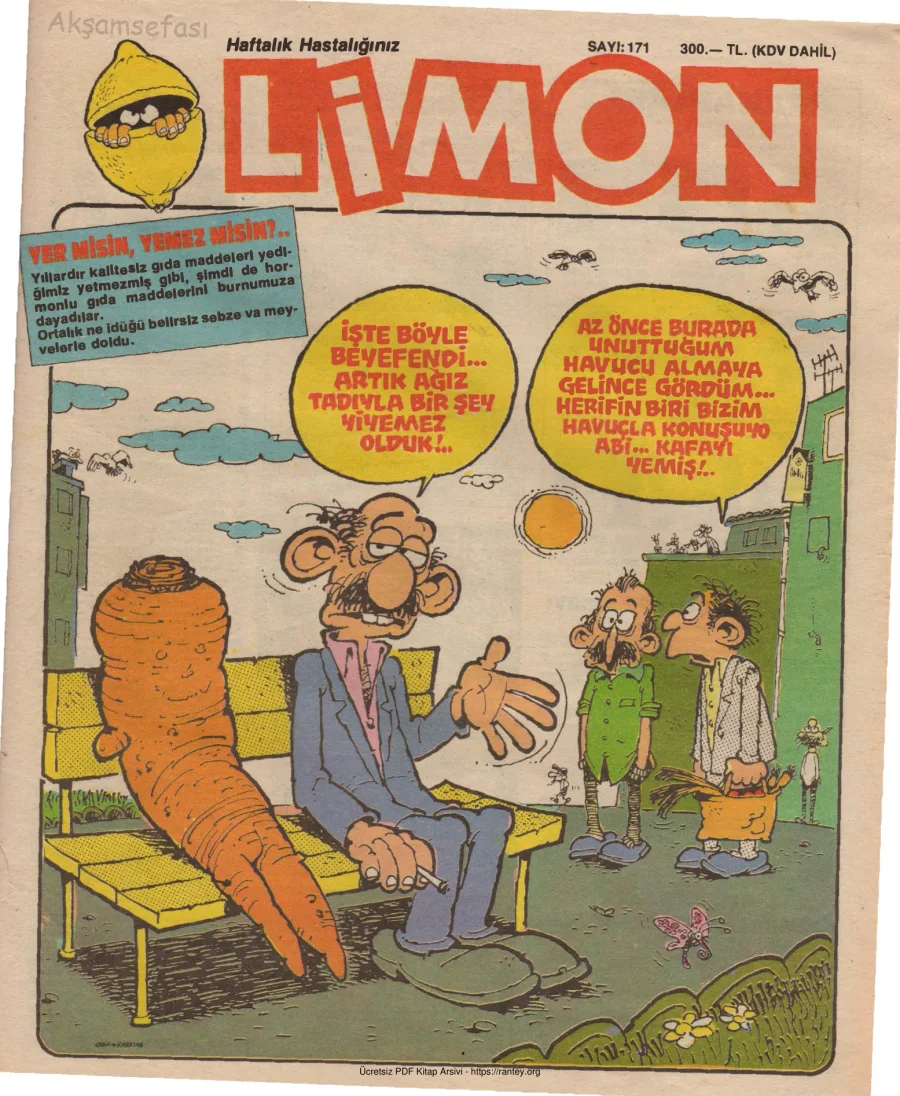 Limon 1989 Sayı 171 kapak görseli