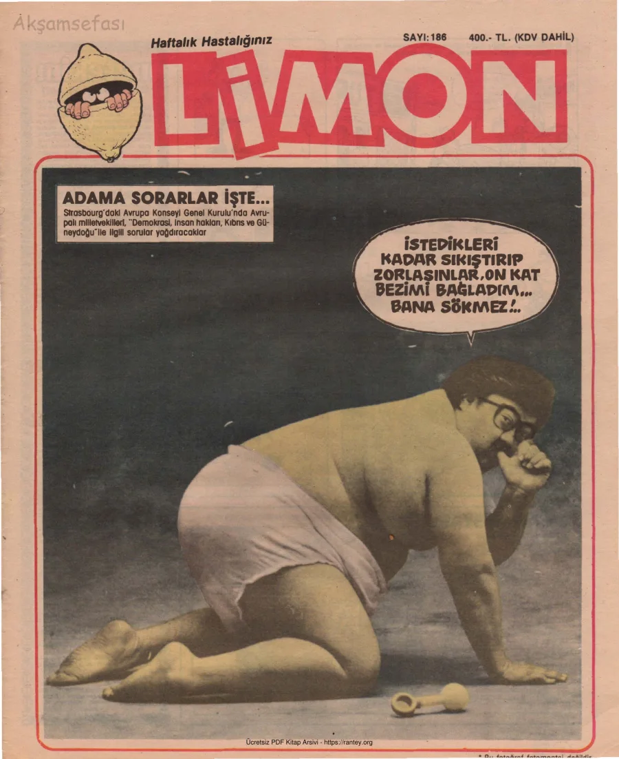 Limon 1989 Sayı 186 kapak görseli