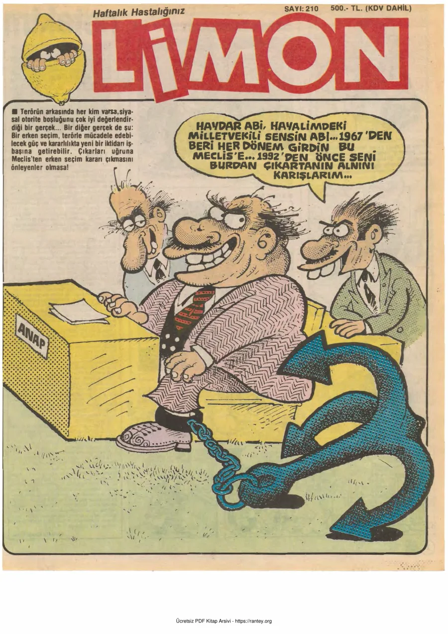 Limon 1990 Sayı 210 kapak görseli