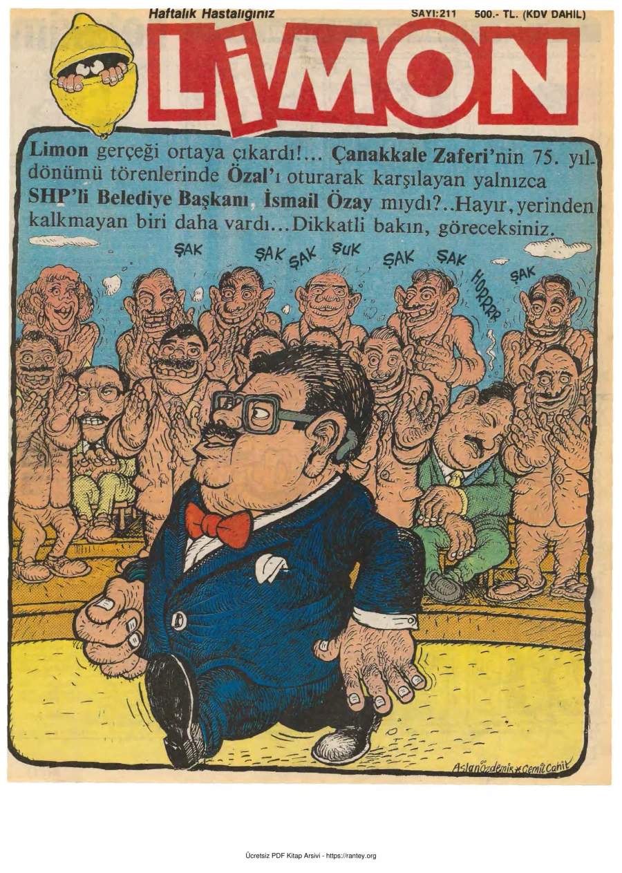 Limon 1990 Sayı 211 kapak görseli