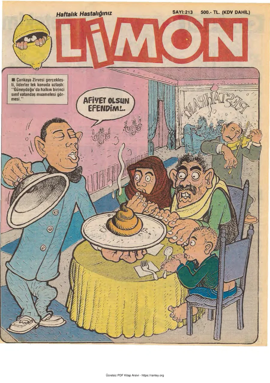 Limon 1990 Sayı 213 kapak görseli
