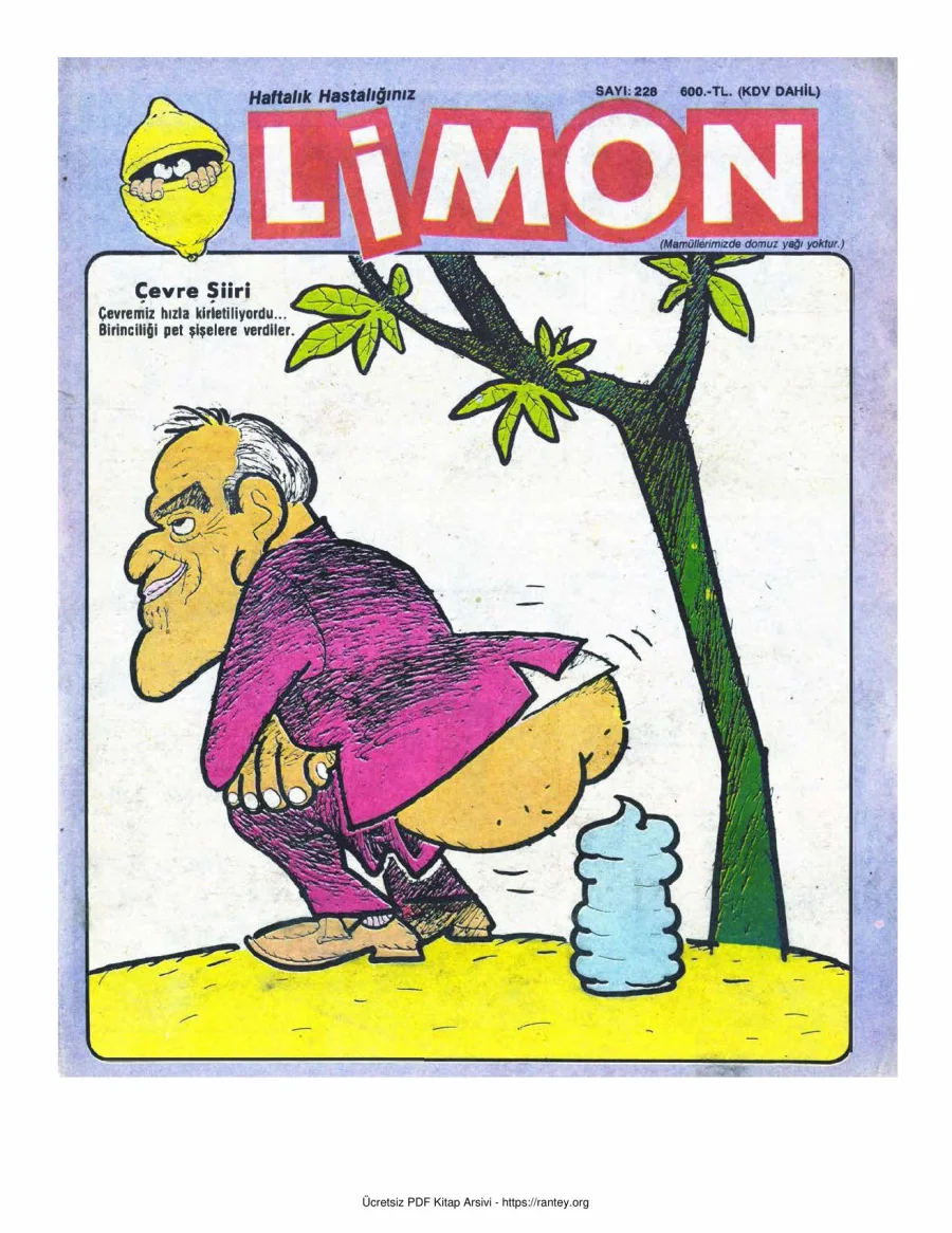 Limon 1990 Sayı 228 kapak görseli