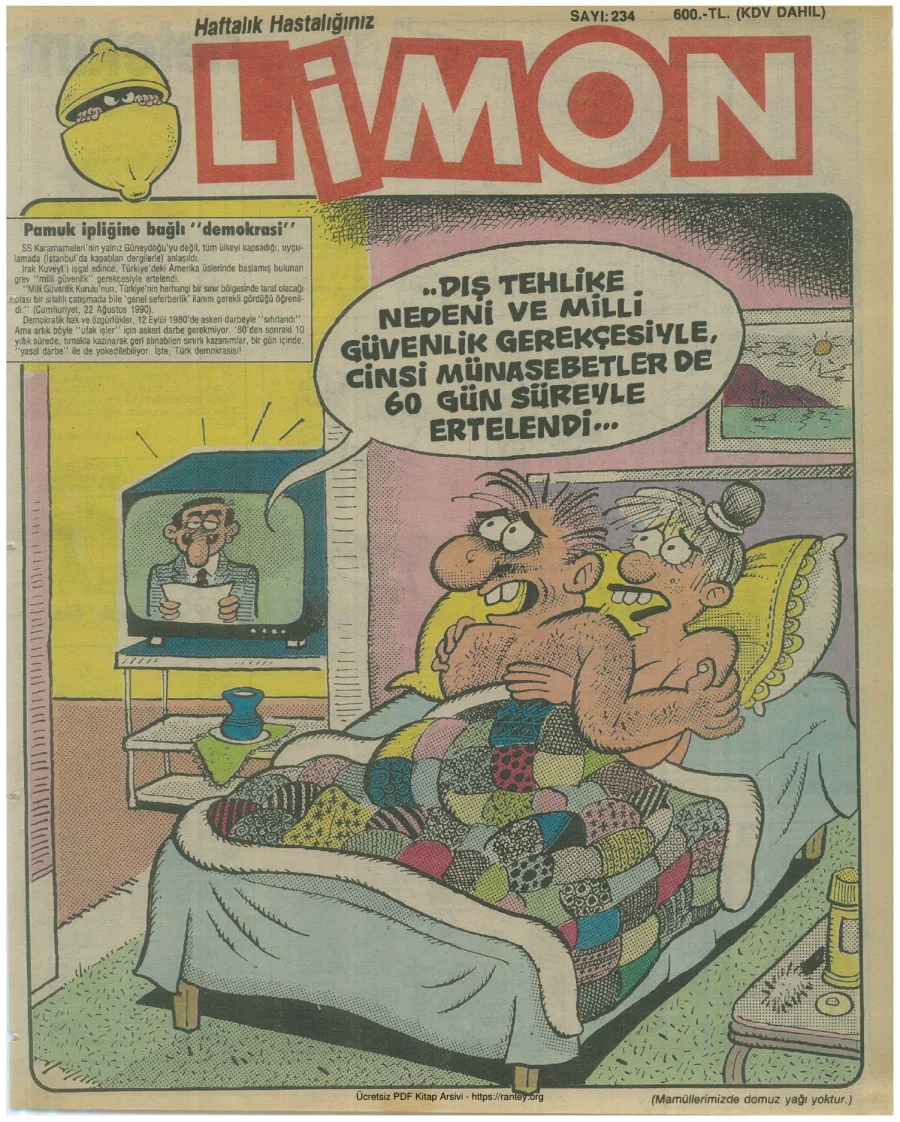 Limon 1990 Sayı 234 kapak görseli