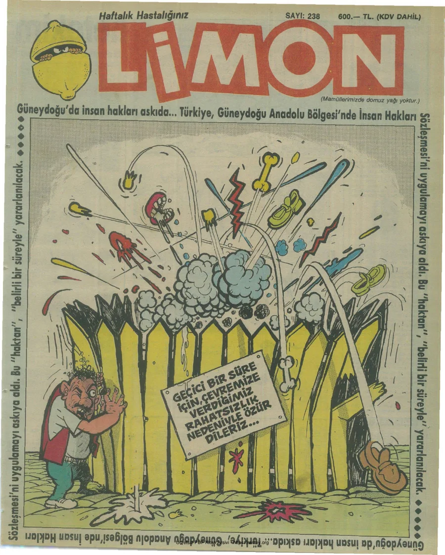 Limon 1990 Sayı 238 kapak görseli