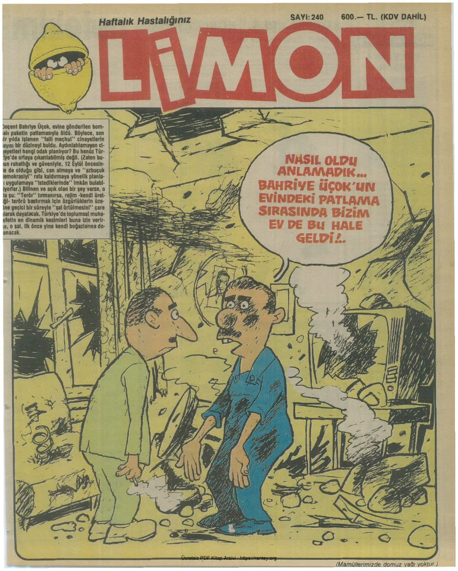 Limon 1990 Sayı 240 kapak görseli