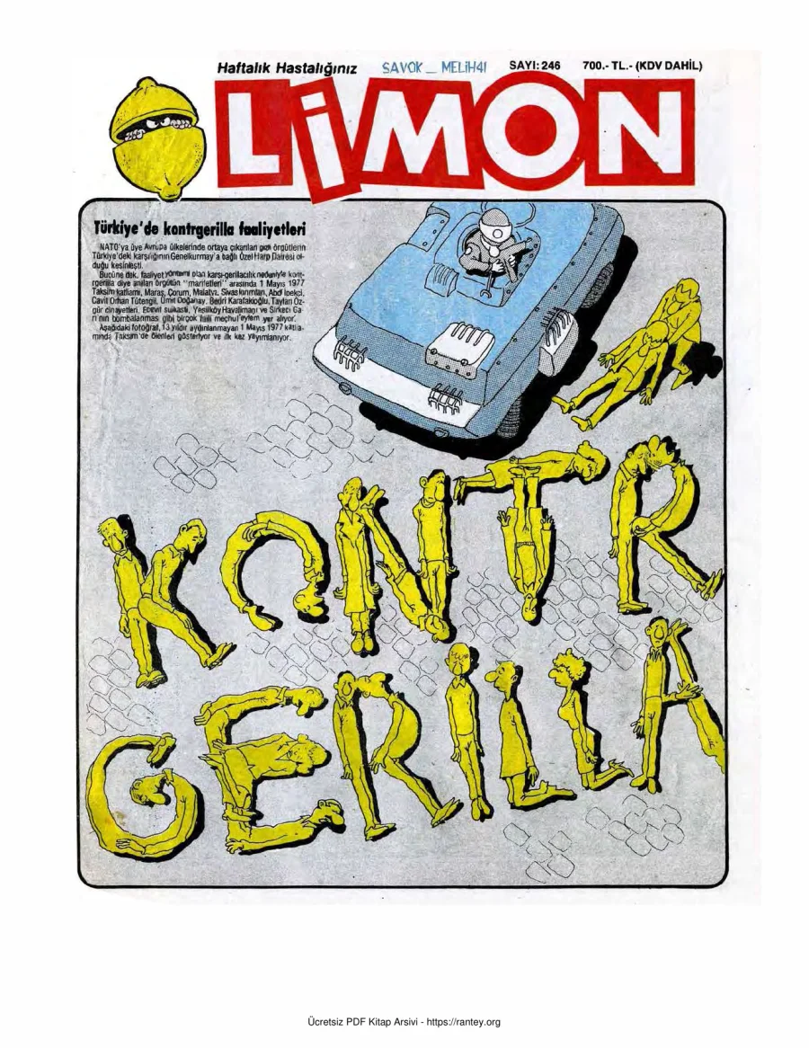 Limon 1990 Sayı 246 kapak görseli