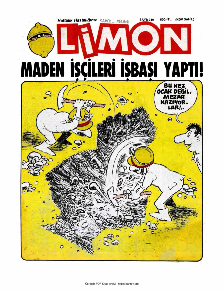Limon 1990 Sayı 249 kapak görseli
