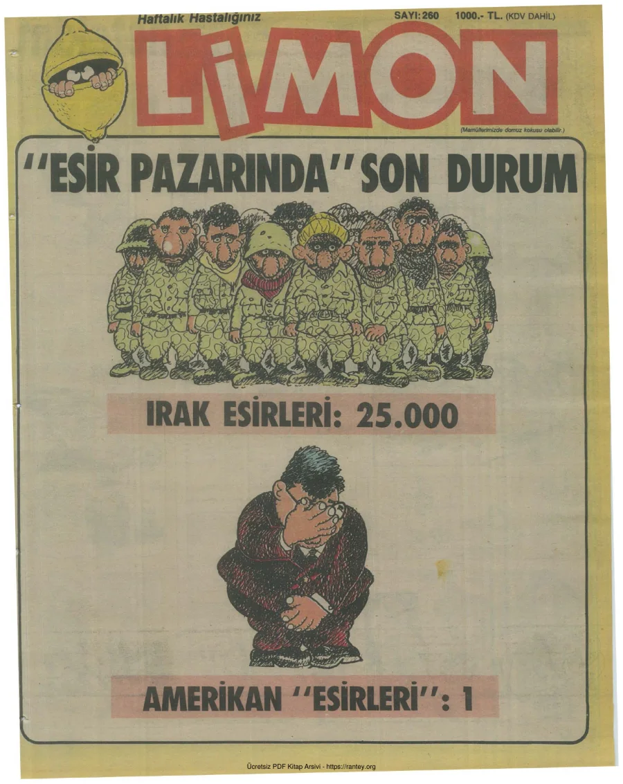 Limon 1991 Sayı 260 kapak görseli