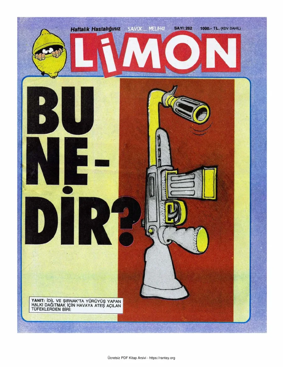 Limon 1991 Sayı 262 kapak görseli
