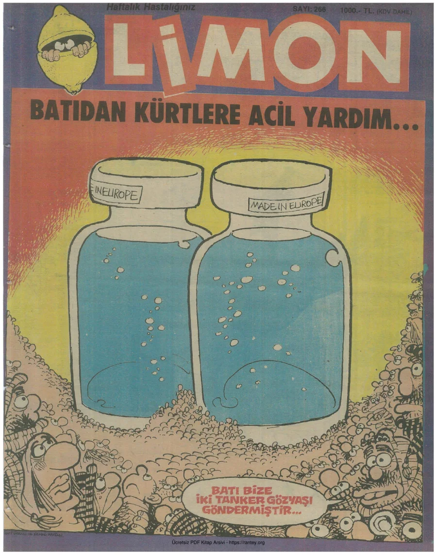 Limon 1991 Sayı 266 kapak görseli