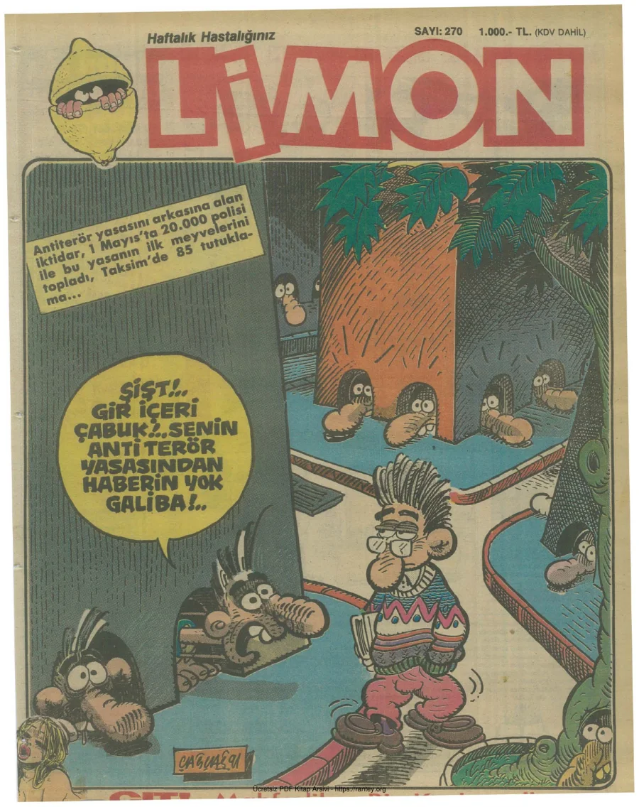 Limon 1991 Sayı 270 kapak görseli
