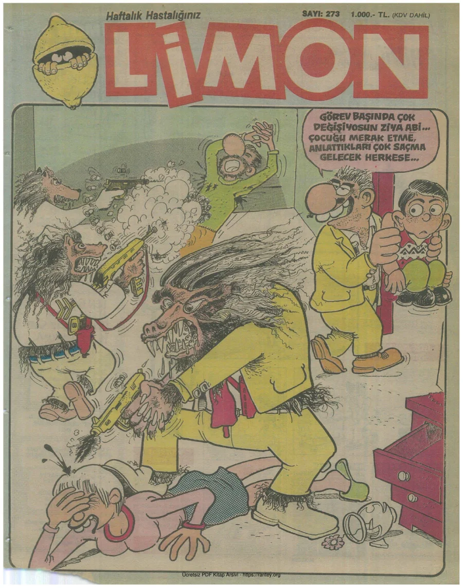 Limon 1991 Sayı 273 kapak görseli