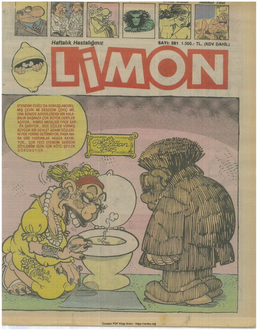Limon 1991 Sayı 281 kapak görseli