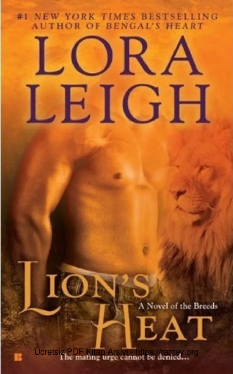 Lions Heat kapak görseli