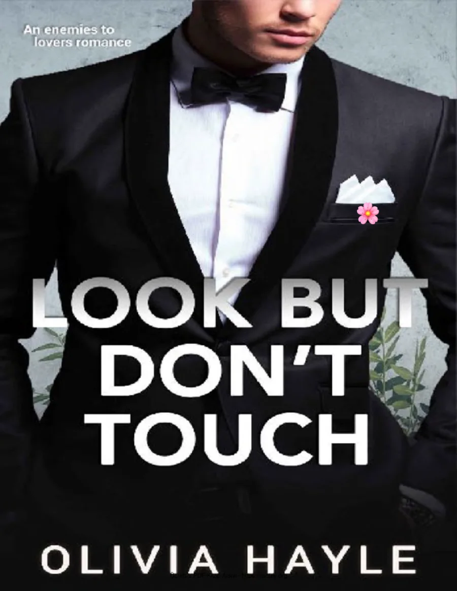 Look But Dont Touch kapak görseli