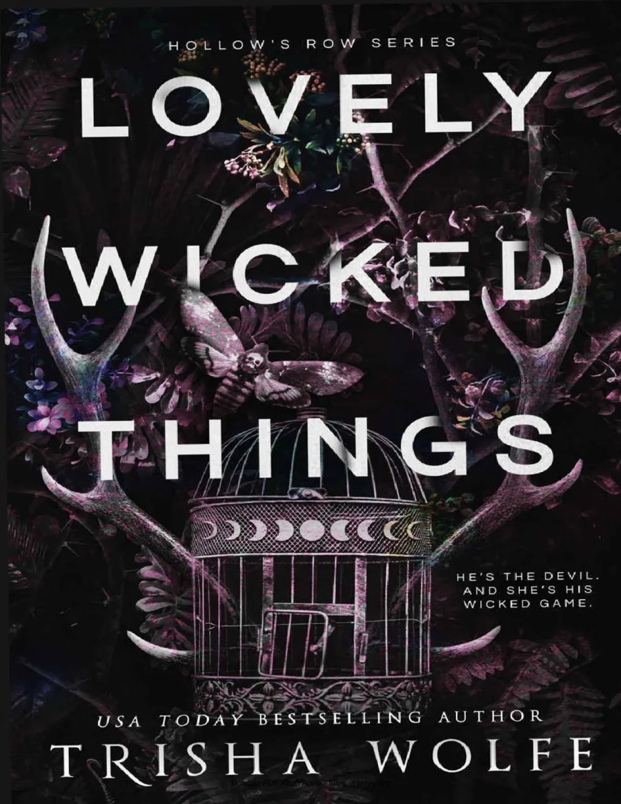 Lovely Wicked Things kapak görseli