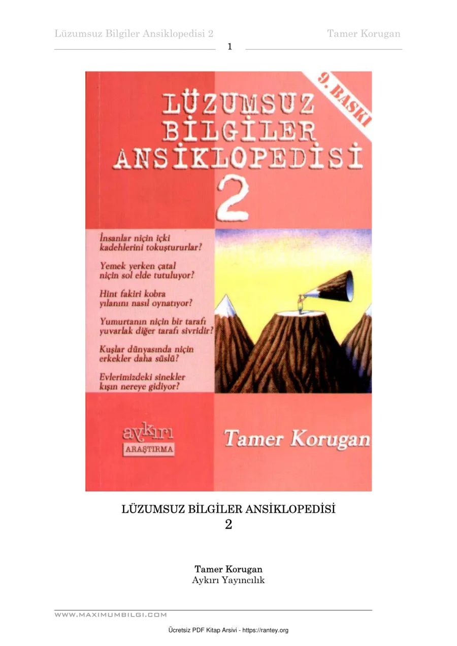 luzumsuz 2 kapak görseli