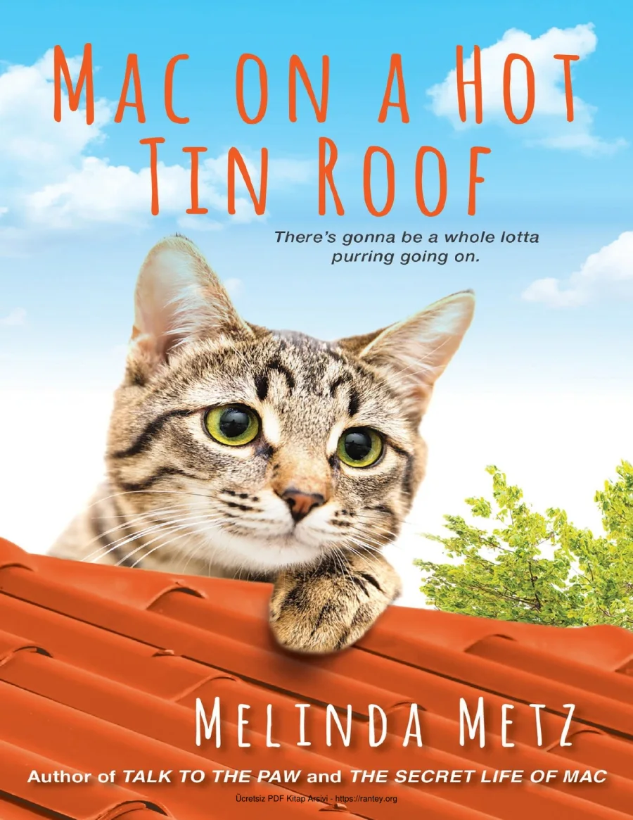 Mac on a Hot Tin Roof kapak görseli